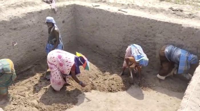 விருதுநகர் | வெம்பக்கோட்டை அகழாய்வில் தங்க அணிகலன் கண்டெடுப்பு |  Virudhunagar | Gold Ornaments Found on Vembakottai Excavation -  hindutamil.in