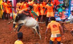 படங்கள்: எஸ் கிருஷ்ணமூர்த்தி