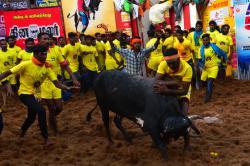 படங்கள்: எஸ்.கிருஷ்ணமூர்த்தி