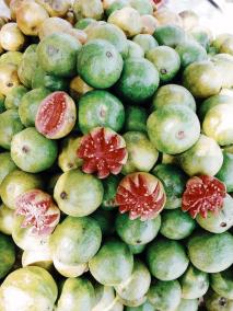 guava-is-very-beneficial