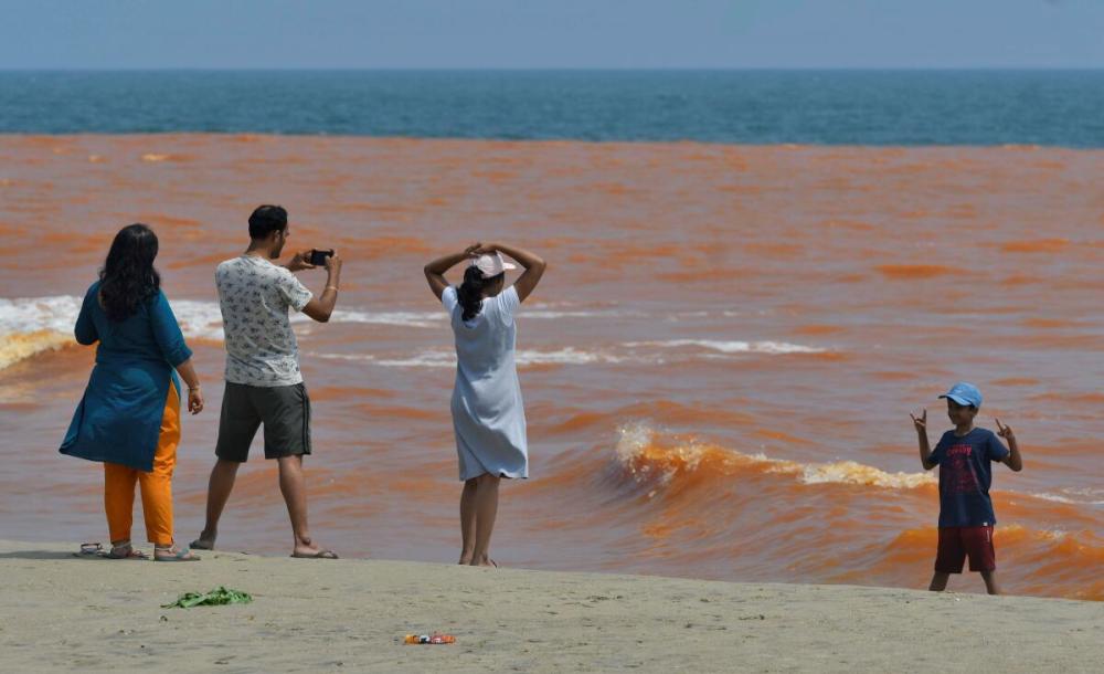 Album - செந்நிறம் ஆன கடல் நீர் @ புதுச்சேரி - போட்டோ ஸ்டோரி | Sea water  suddenly turned red in Puducherry - Photo Story