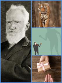 9-quotes-by-george-bernard-shaw