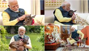 pm-modi-kisses-newest-member-deepjyoti