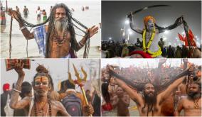 maha-kumbh-mela-sadhu