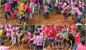 thanjavur-district-madhakottai-jallikattu-photo-story