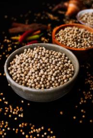 coriander-seed