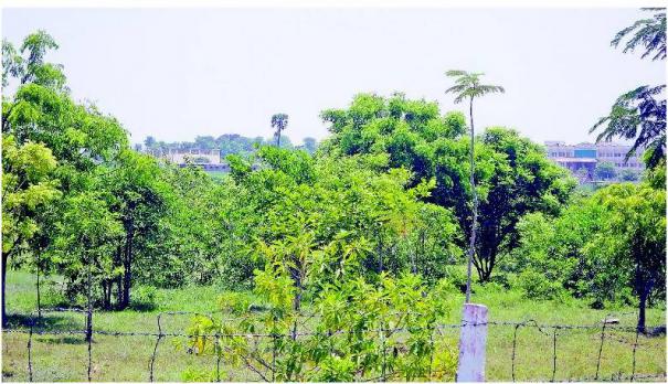 நாமக்கல்: கட்டிடத்திற்குள் கானகம் திட்டத்தால் சோலையாக மாறிய பொட்டல் காடு