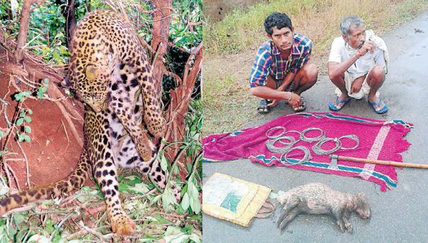 ஆட்கொல்லிகளை உருவாக்கும் சுருக்குக் கம்பிகள்