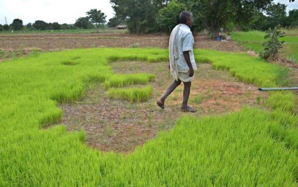 பாவம் விவசாயிகள்!