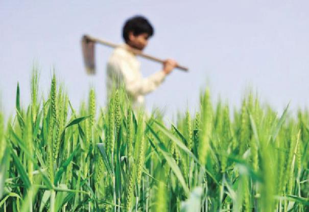 அலசல்: போற்றுவதால் மட்டும் உயராது!