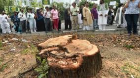 govt-allowed-1-crore-trees-to-be-cut-in-5-years-env-ministry