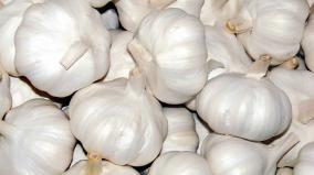 authorization-for-kodaikanal-garlic