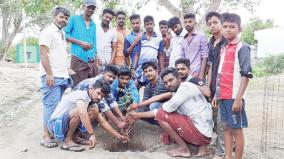 youths-planting-trees