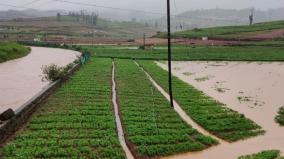 continuous-rain-in-ooty