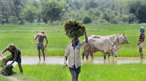 pmkmy-govt-aims-to-enroll-2-cr-farmers-for-pension-scheme-by-aug-15