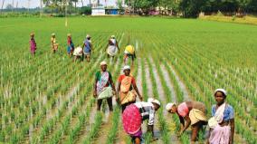 agriculture-land