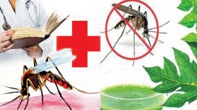 monsoon-transmitted-dengue-what-are-preventive-measures