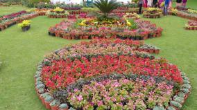 flower-show-at-ooty