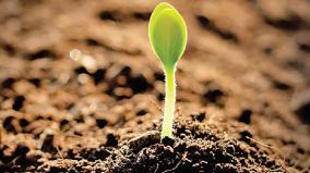 soil-fertility