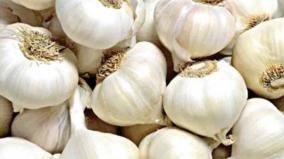 garlic-price-soars-high