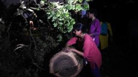 mumbai-s-aarey-to-cut-trees-29-activists-arrested