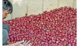 echoes-of-india-s-export-ban-don-t-add-onions-to-meals-bangladesh-prime-minister-hasina-appeals