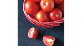 tomato-prices-go-up