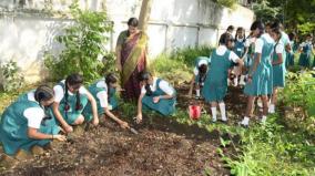 centre-asks-all-schools-to-set-up-kitchen-gardens
