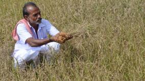 crop-insurance-dispute-in-sivagangai-district