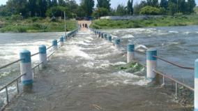 floods-in-vaigai-dam