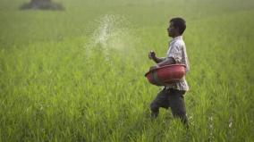 university-for-agriculture