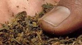 tobacco-seized-in-covai