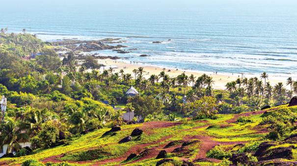 new policies at goa government