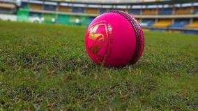 what-is-special-about-the-pink-test-ball