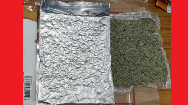 High quality marijuana online; Chennai youth arrested from abroad: 4 kg of cannabis worth Rs 20 lakh seized