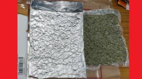 high-quality-marijuana-online-chennai-youth-arrested-from-abroad-4-kg-of-cannabis-worth-rs-20-lakh-seized