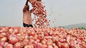 mmtc-contracts-to-procure-6-090-tonnes-onion