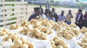 41-tonne-mixed-jaggery-seized-by-food-security-officials-in-salem