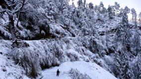 himachal-pradesh-trees-covered-in-snow-at-sangla-valley-in-kinnaur-district