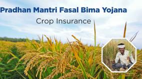 as-last-date-to-apply-for-pradhan-mantri-fasal-bima-yojana-pmfby-for-the-year-2019-server-issue-panics-farmers