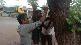 nails-in-trees-removed-in-uthamapalayam