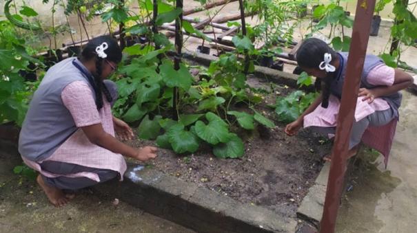 Government school kids cultivate vegetables in school campus