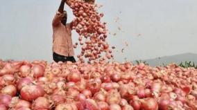 onion-to-bring-cheers-in-new-year