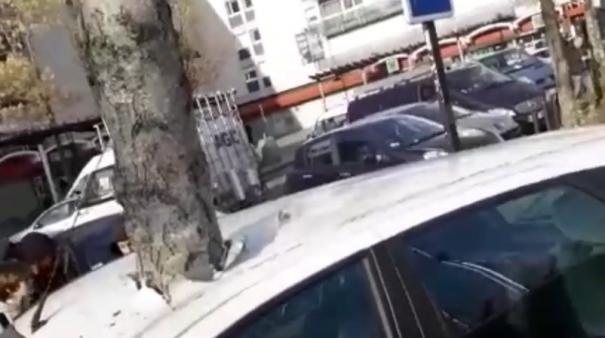 Tree mysteriously grows out of a car in france san