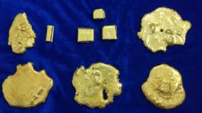 customs-seize-gold-worth-rs-31-lakh-chennai-air-port