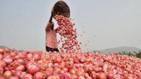 will-take-action-against-those-who-are-sold-onion-in-higher-rates-tn-govt