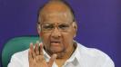 caa-nrc-ploys-to-divert-attention-from-serious-issues-pawar