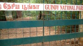 guindy-children-park