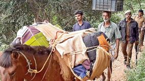 vote-boxes-carried-by-horses