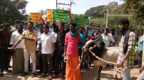 no-online-registration-of-jallikattu-bulls-owners-oppose-give-petition-to-collector